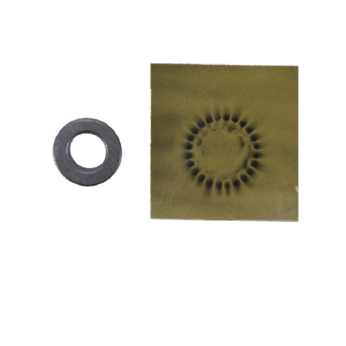 Magnetic Ferrite Ring Radial Multipole Magnetization Motor Rotor Ferrite Magnet Manufactory
